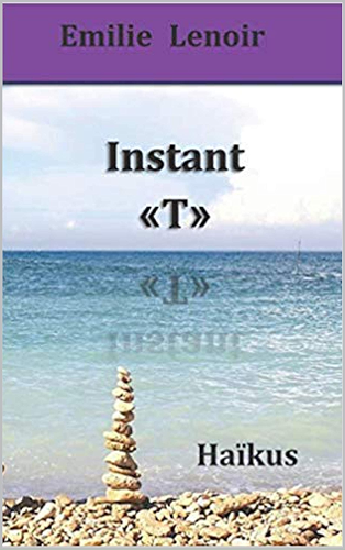 Download Instant 'T': Haïkus PDF