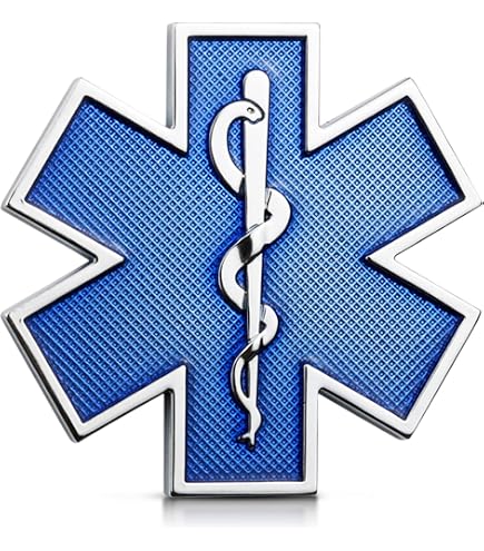 EMS Logo (Z2) Blue Flames Vinyl Decal Sticker Car/Truck Laptop/Netbook Window