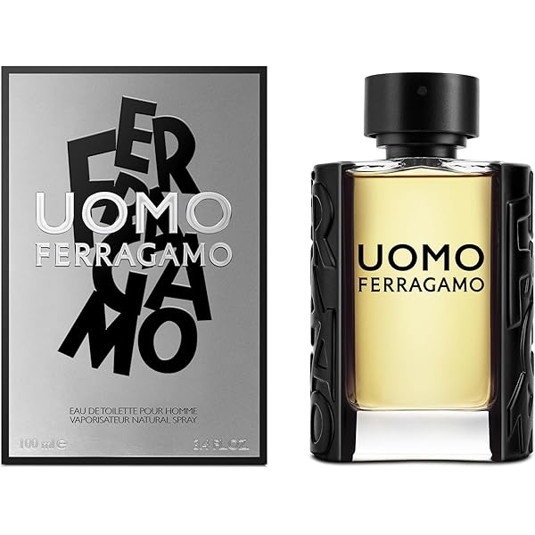 Amazon.com : Gianfranco Ferre Gff Uomo Men Eau De Toilette