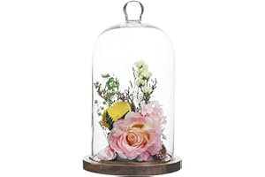 Gala Houseware Glass Cloche Dome with Wooden Base, 5.9" x 11" Display Jar