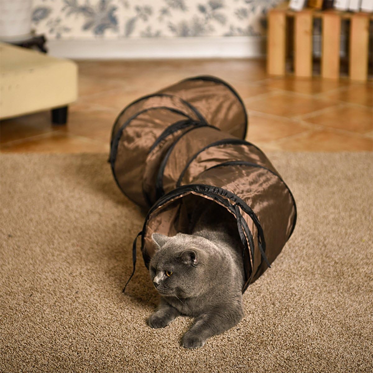 Los mejores túneles para gatos [year] (análisis) 27