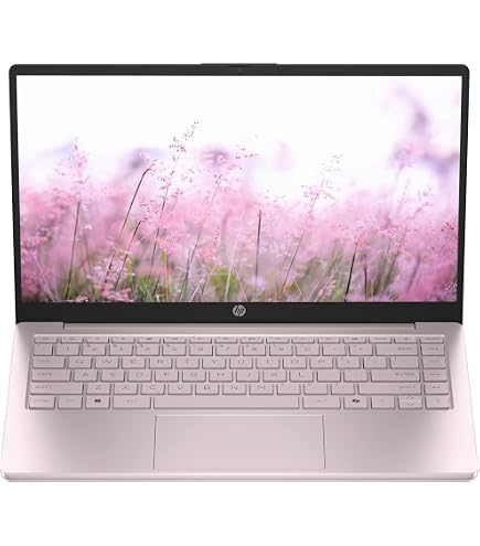 Amazon.com: HP Stream 14 Pink - Celeron N4000-4 GB RAM - 64 GB