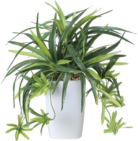 Amazon Co Jp 光の楽園 ドラセナ角ポット 新品 造花 光触媒 観葉植物 インテリア お祝い プレゼント 記念日 新築祝い 開店祝い 母の日 敬老の日 ホビー