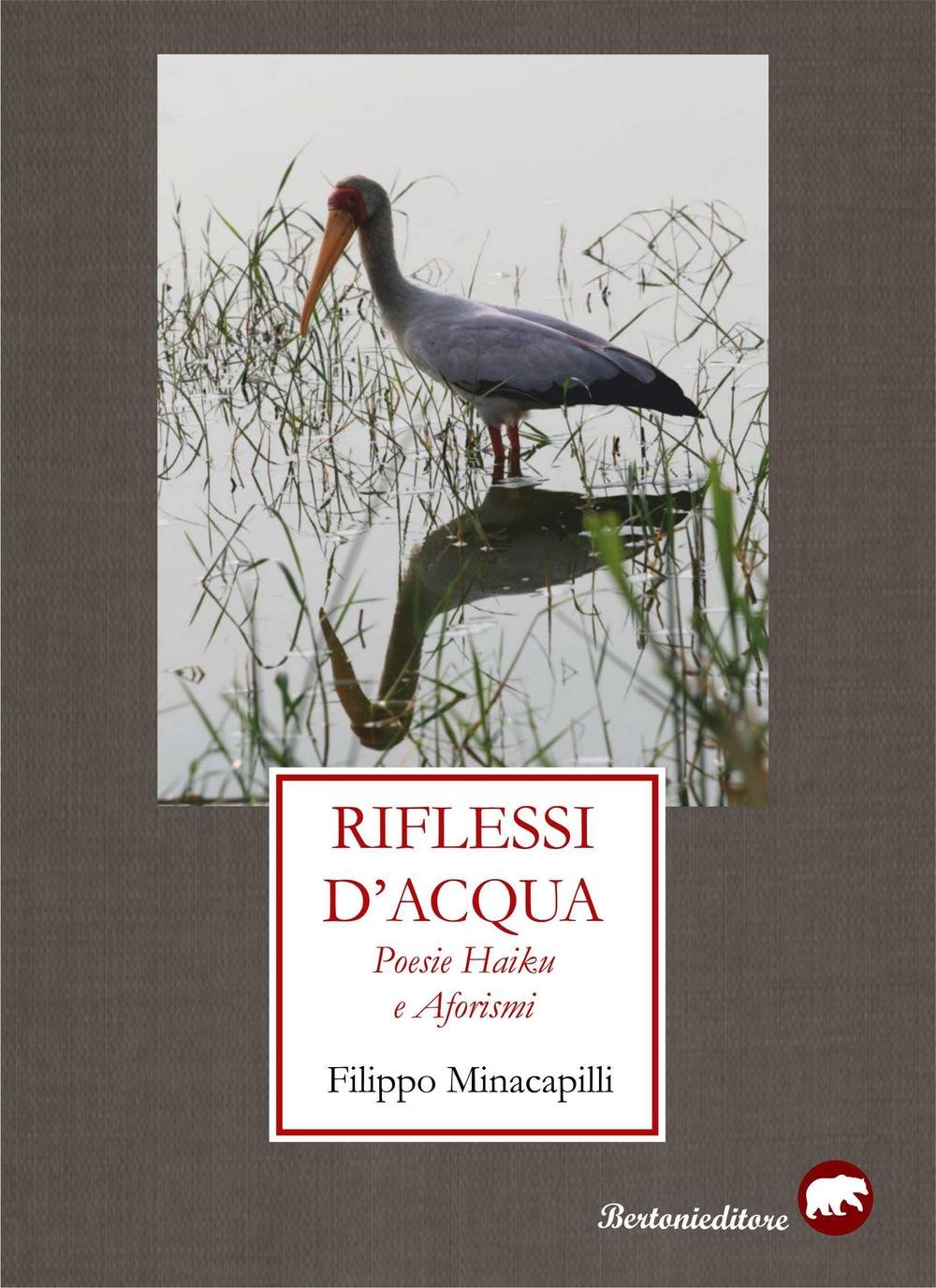 Riflessi D Acqua Poesie Haiku E Aforismi Minacapilli Filippo Amazon Com Books