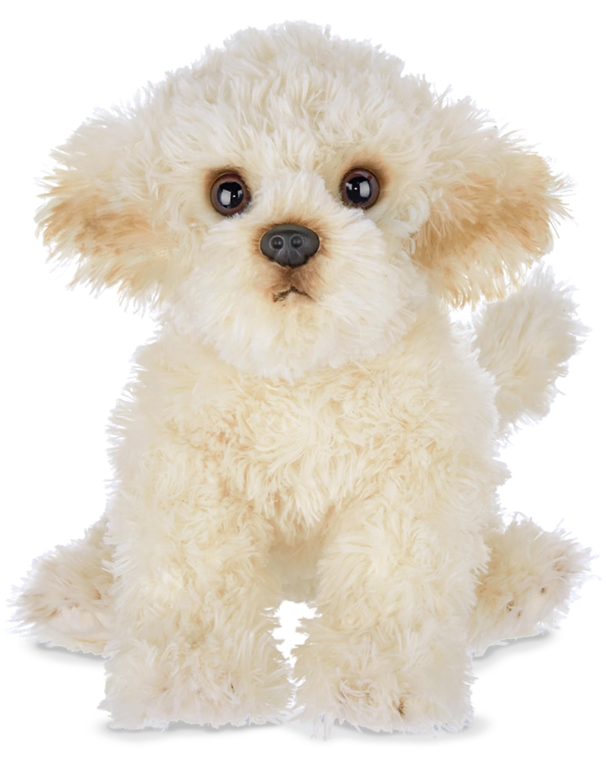 Photo 1 of Bearington Dog Stuffed Animal - Puppy Realistic Stuffed Animals - Plush Dog Toys for Kids Poodle Labradoodle Plushies - Bisquit 13.5 Inch