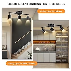 LED Track Lighting Fixtures Ceiling, Black 3-Light
