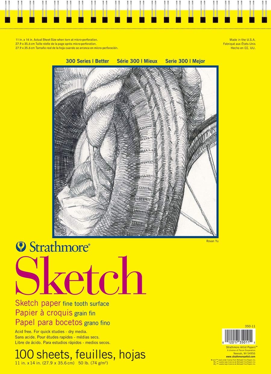 Strathmore 300 Series Sketch Pad, 11x14, Wire Bound, 100 Sheets: Arts, Crafts & Sewing