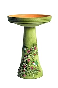 Burley Clay Hummingbird Bird Bath Set