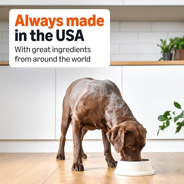AMAZON BASICS WET DOG FOOD, MEATY LOAF, CHICKEN & RICE DINNER, MADE WITH REAL CHICKEN, 13.2 OZ CAN SINGLE