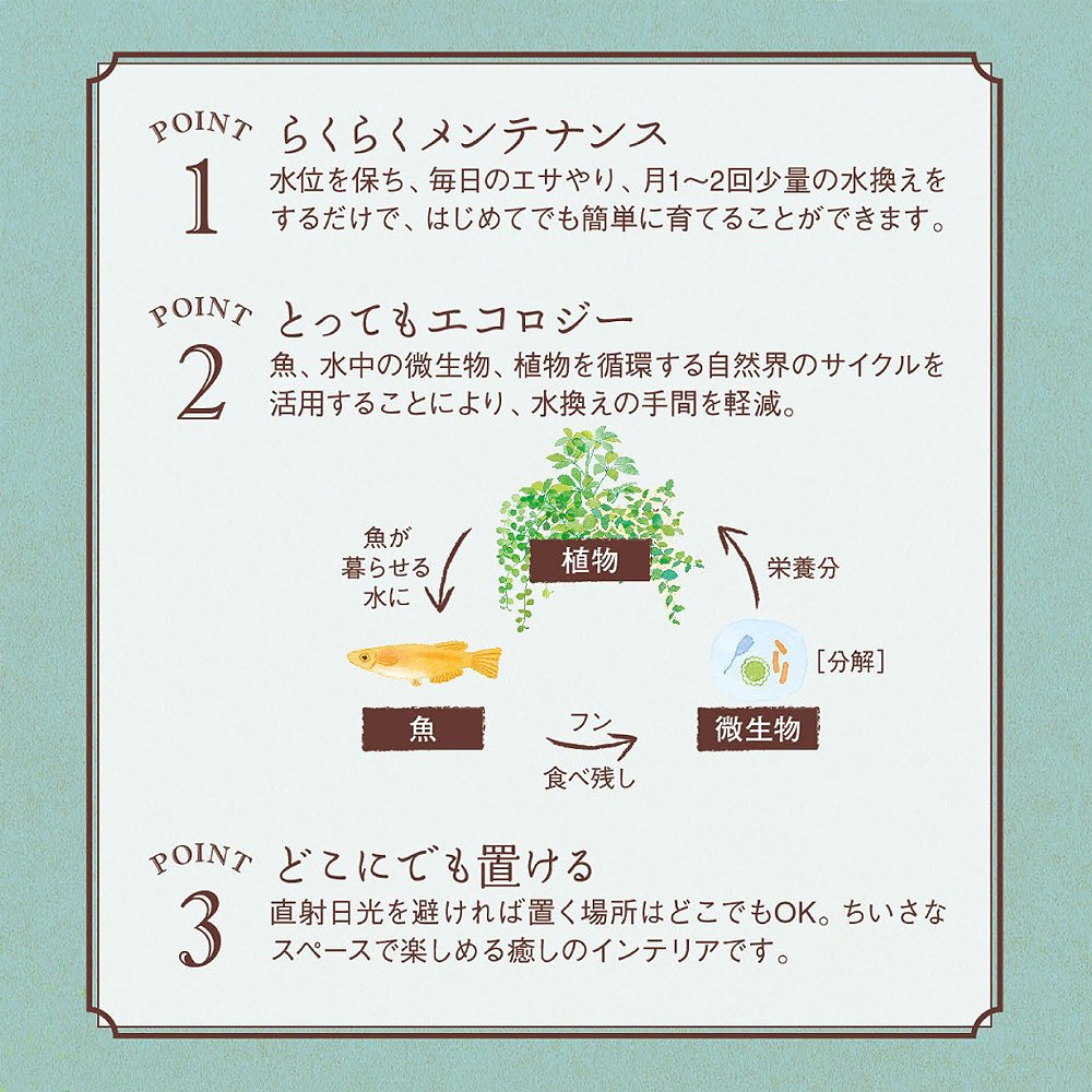 S300 B01c9umglo アクアテリア メダカ用 ガラス水槽と水耕栽培プランターのセット 水槽おそうじ手袋プレゼント 置物オブジェ 超人気