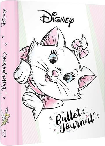 Download DISNEY - Bullet journal PDF