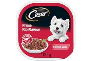 CESAR Filets in Sauce Wet Dog Food - Prime Rib Flavour - 100g (24 Pack)