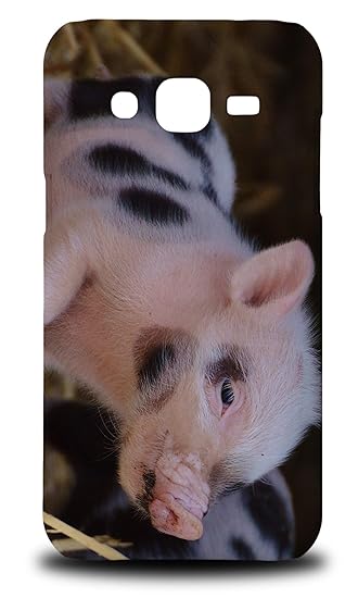 Amazoncom Cute Baby Piglets Pigs 3 Hard Phone Case Cover For