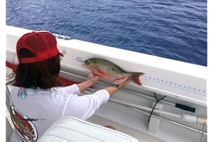 SPEARFISHING WORLD Fish Ruler Sticker/Decal for Fishing or Spearfishing Boat Canoe or Kayak - 48" Long and 2" Wide (Single)