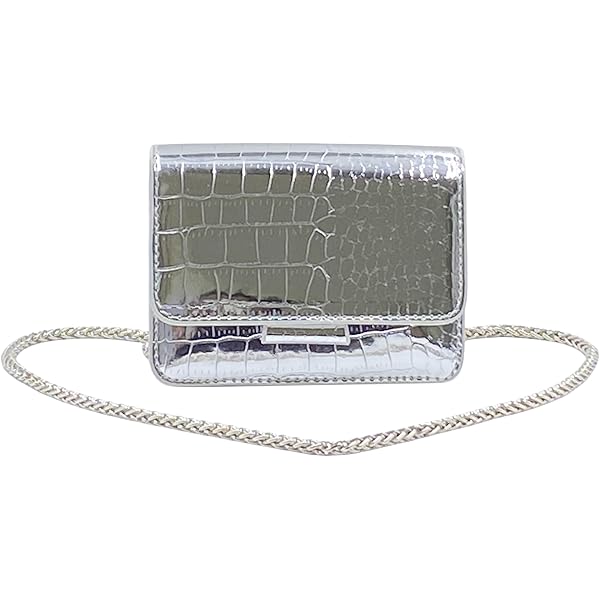 Wallet shoulder bag／silver Silver Leather Metro Snap Wristlet