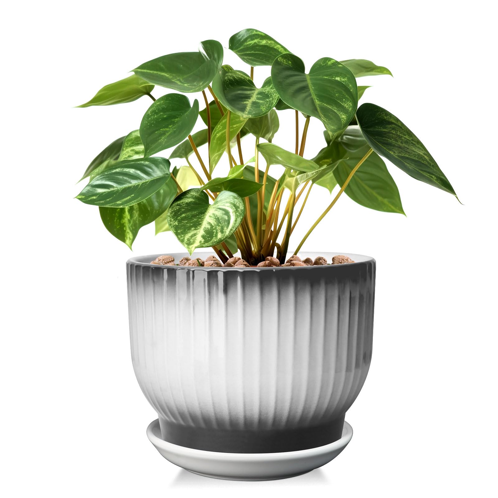 8 Inch Plant Pot Ceramic Planter with Drainage and Saucer Ceramic Pots for  Pl... | eBay