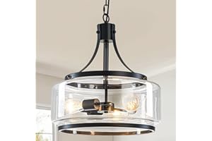 Y'INSP 15.75" Glass Drum Chandelier for Dining Room, Modern Black Chandeliers with Clear Glass Shape 3-Lights Pendant Light F