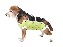 E-Collar Alternative for Cats and Dogs Designed to