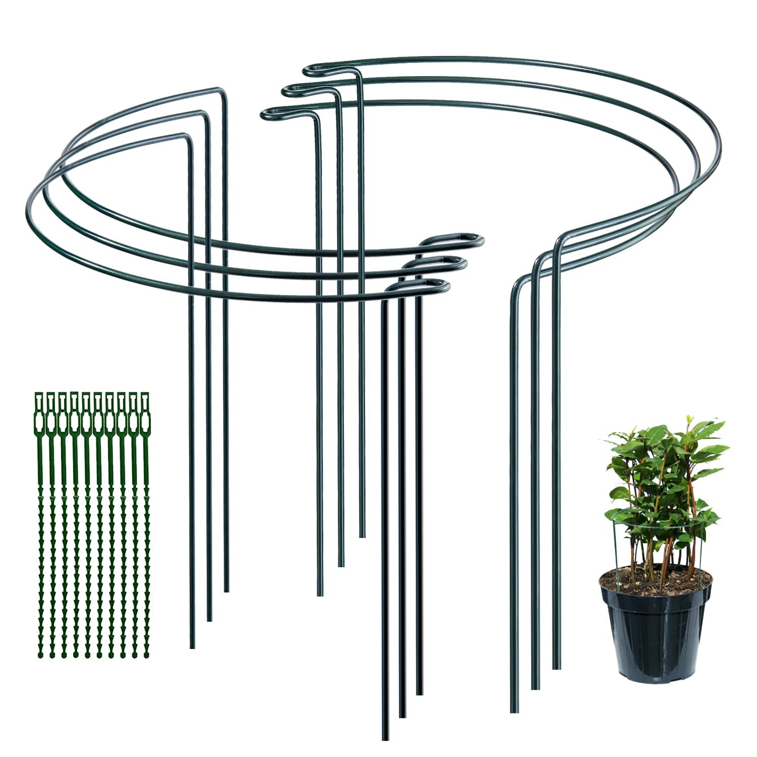 JIALWEN 6 Pack 20×35cm Plant Support Stakes Ring Cages, Metal Garden Plant Stake, Green Half Round Plant Supports for Vegetable, Tomato, Peony, Roses, Hydrangea, Flowers