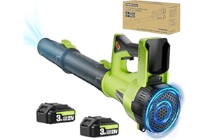 GARDENJOY Electric Leaf Blower Cordless, 2x3.0Ah Batteries and Charger, 6 Speed Modes 500CFM 150MPH, 21V Handheld Powerful Battery Powered Cordless Leaf Blowers for Lawn Care, Patio, Dust, Leaves, Yard, Car