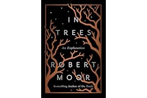 In Trees: An Exploration
