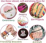 DSL Daily Supply Embroidery Threads 120 Skeins Pack 8m 6-Strand Rainbow view 3