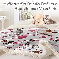BlessLiving Red Hearts Dog Cat Print Plush Blanket