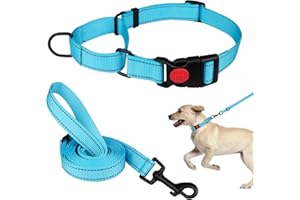 MTLIEPTE Martingale Dog Collar and Leash Set Martingale Collars for Dogs Reflective Martingale Collar for Small Medium Large Dogs(Sky Blue&M)