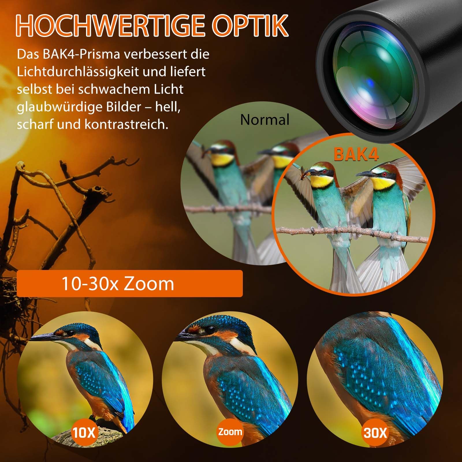 10–30x50 Zoom Fernglas für Erwachsene, HD Fernglas für Vogelbeobachtung, Reisen, Jagd, Konzerte mit großer Sicht, BAK4, FMC-Objektiv, klare Sicht bei schlechten 2
