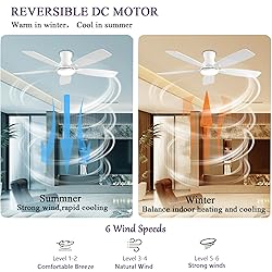 NKPU 52inch Ceiling Fans with Lights, Low Profile