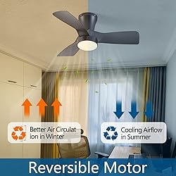 Dalouguan 31 inch Low Profile Ceiling Fans with