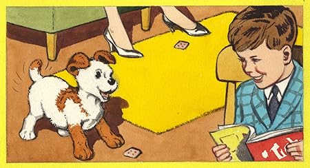 paddy paws the puppy