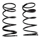 Moog 80160 Coil Spring Set