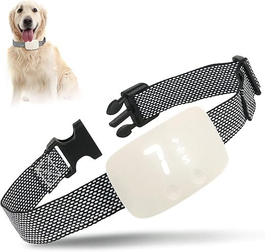 dog still barks with bark collar