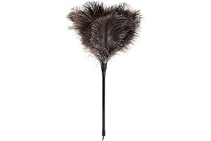 DAIEEPARTY Natural Ostrich Feather Duster 14.9 inch Fluffy Mini Dusters with Plastic Handheld for Cleaning Car Keyboard Office 1 Pcs