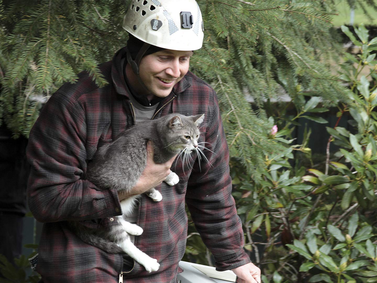 Watch Treetop Cat Rescue Season 1 Prime Video