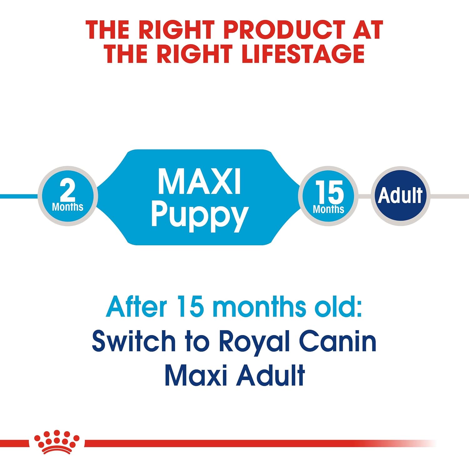 royal canin maxi puppy 1kg