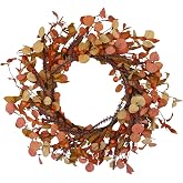 Hometrance 20" Fall Wreaths with Orange Eucalyptus Leaves for Front Door | Great for autumn & thanksgiving. Display indoor or