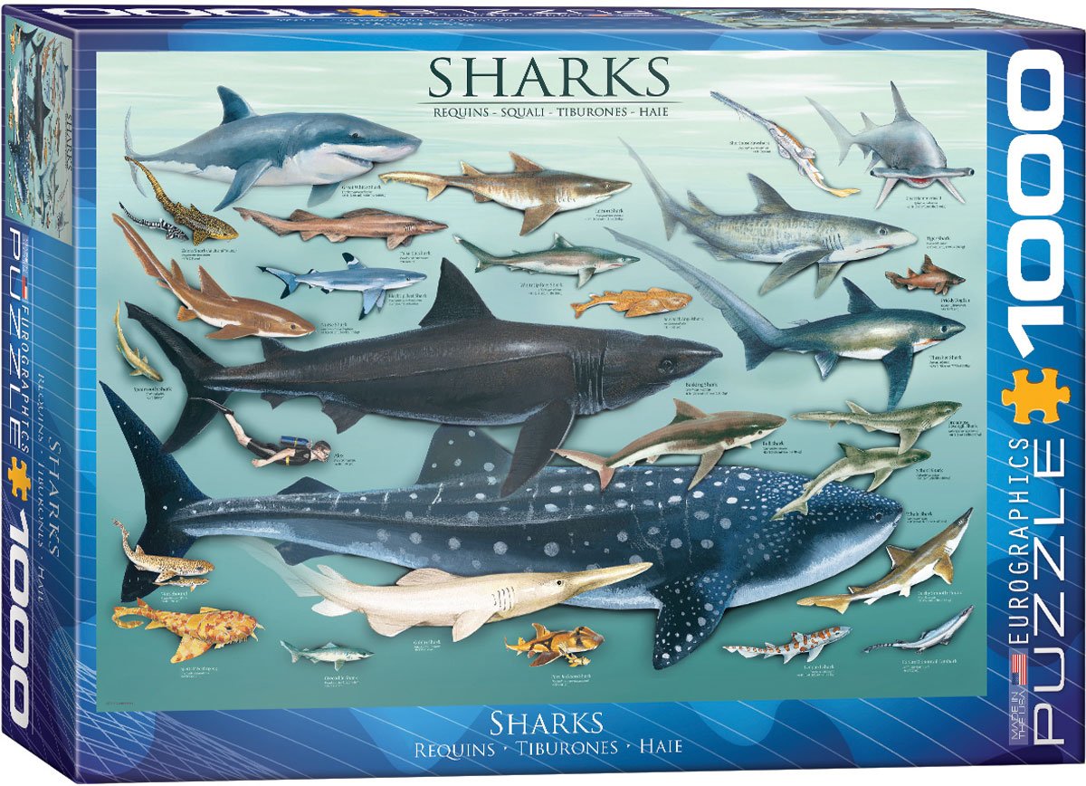 Sharks 1000 piece jigsaw puzzle 680mm x 480mm (pz)