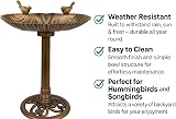 raxter Traditional Bird Bath Outdoor Free Standing Bronze Effect 50cm view 6