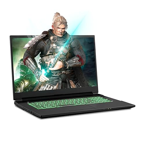 Sager NP7879PQ Gaming Laptop, Inch Thin Bezel FHD 144Hz 72