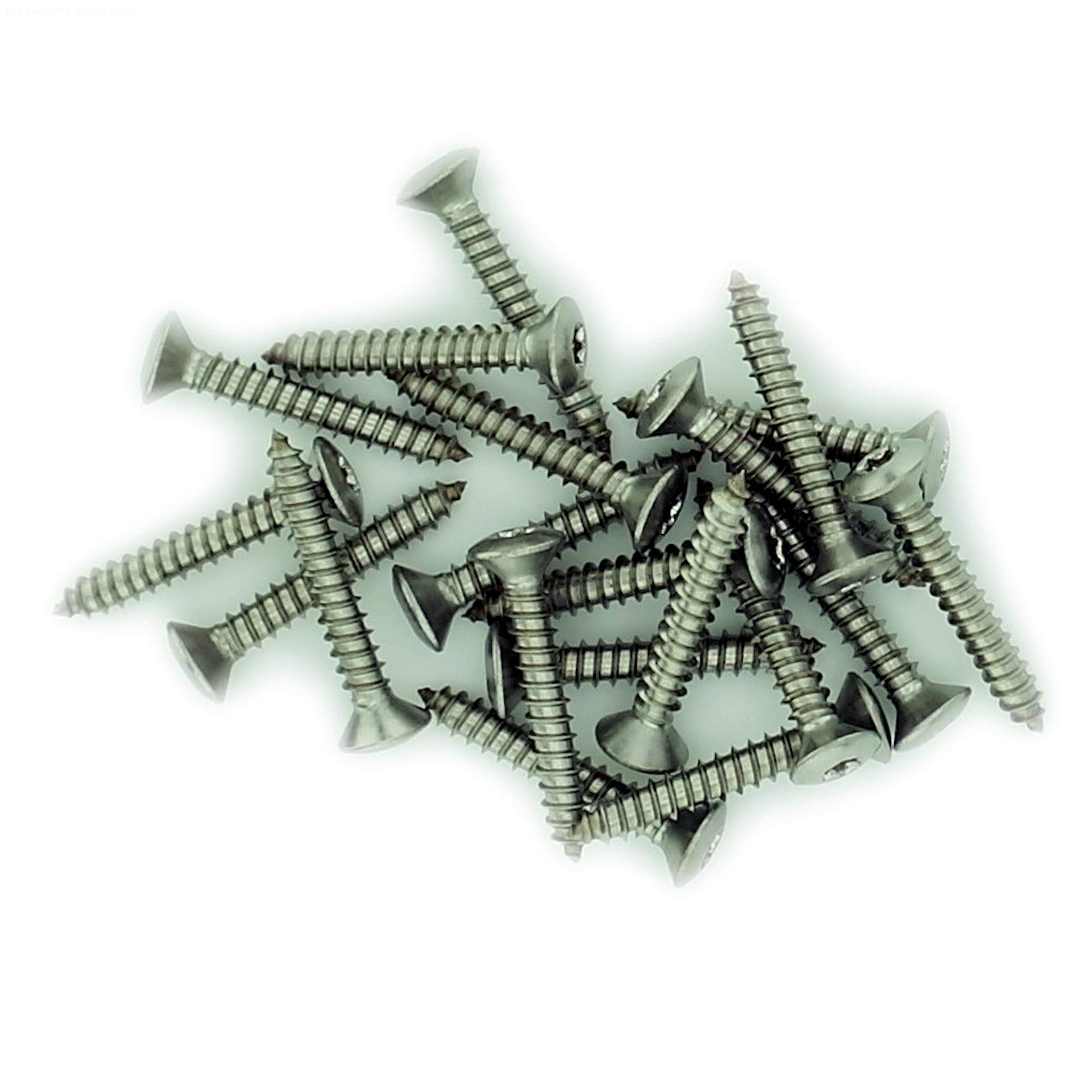 No.12 x 1.775 (5.5mm x 45mm) TX Raised Countersunk Self-Tapping Screw - Stainless Steel (A2) (Pack of 20) โ image 1