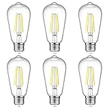 Ascher Vintage LED Edison Bulbs, 6W, Equivalent