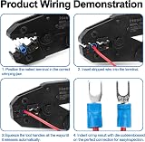 Heschen Fork Insulated Wire Connector Crimp Terminal SV2-4 Blue 100 Pack 16-14 view 4