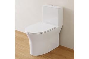 Lavie Craft Compact One Piece Toilet, Elongated Toilet with Comfort Chair Seat, Dual Flush 0.8/1.28 GPF and MAP 900g, Modern American Standard Modern Toilet for Bathroom, 12" Rough-In