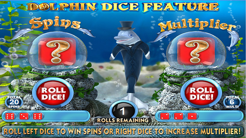 Dolphins Dice Slots