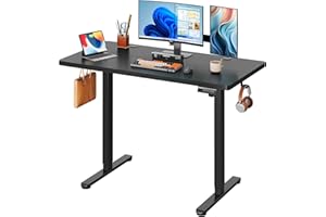 DEVAISE 48 Inch Electric Standing Desk, 3 Adjustable Height Stand up Desk for Home Office, Ergonomic Sit to Stand Desk with LED Touchscreen, Headphone Hook, 3 Memory Preset Computer Desk (Black)