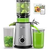 Cold Press Juicer, ECOSELF Juicer Machines with