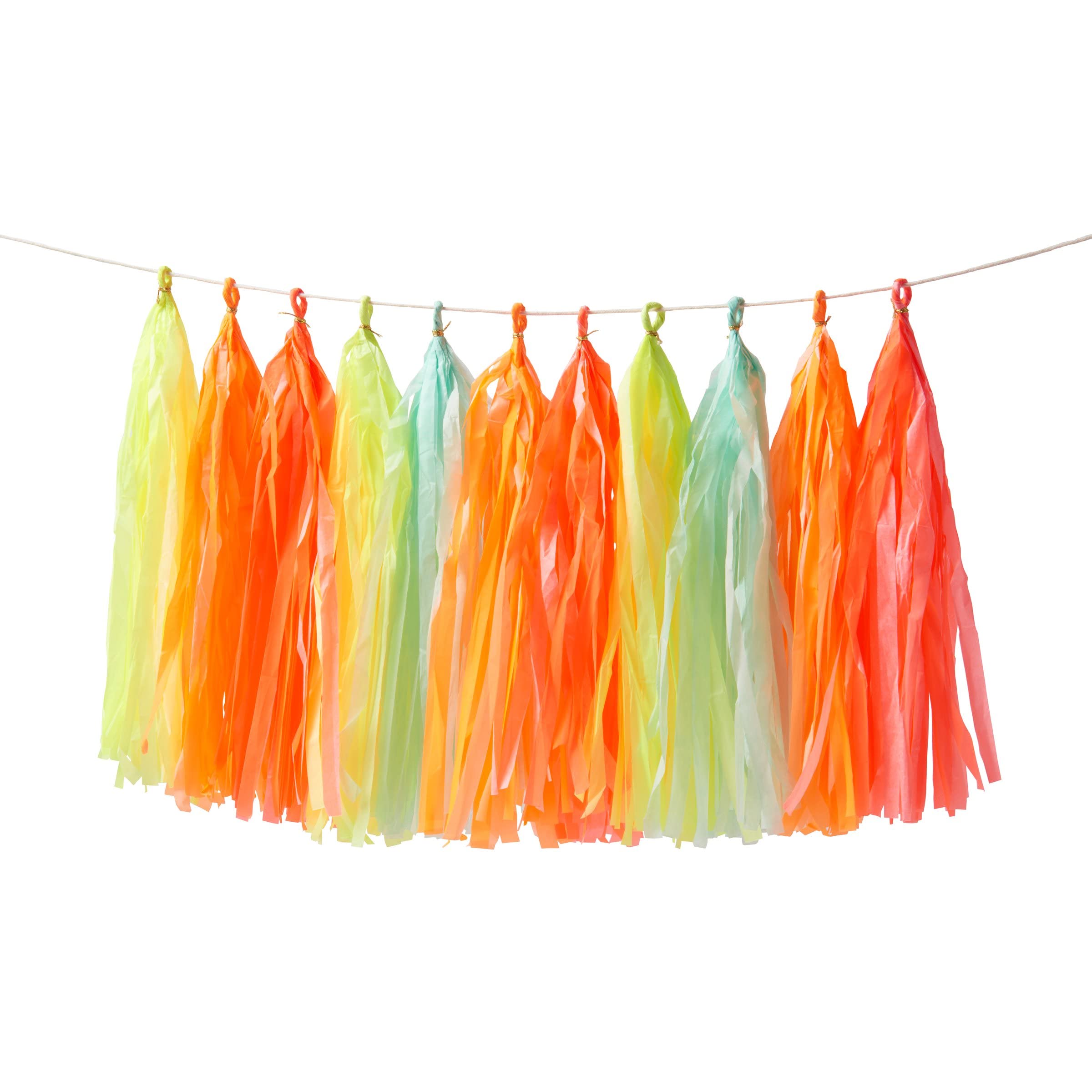 Meri Meri Neon Tassel Garland (Pack of 1)