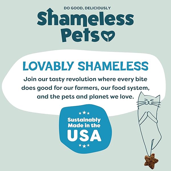 SHAMELESS PETS CRUNCHY CAT TREATS – CATNIP TREATS FOR CATS WITH DIGESTIVE SUPPORT, KITTEN TREATS WITH REAL INGREDIENTS, NATURAL & HEALTHY FLAVORED FELINE SNACKS – FINTASTIC CATNIP, 1-PK
